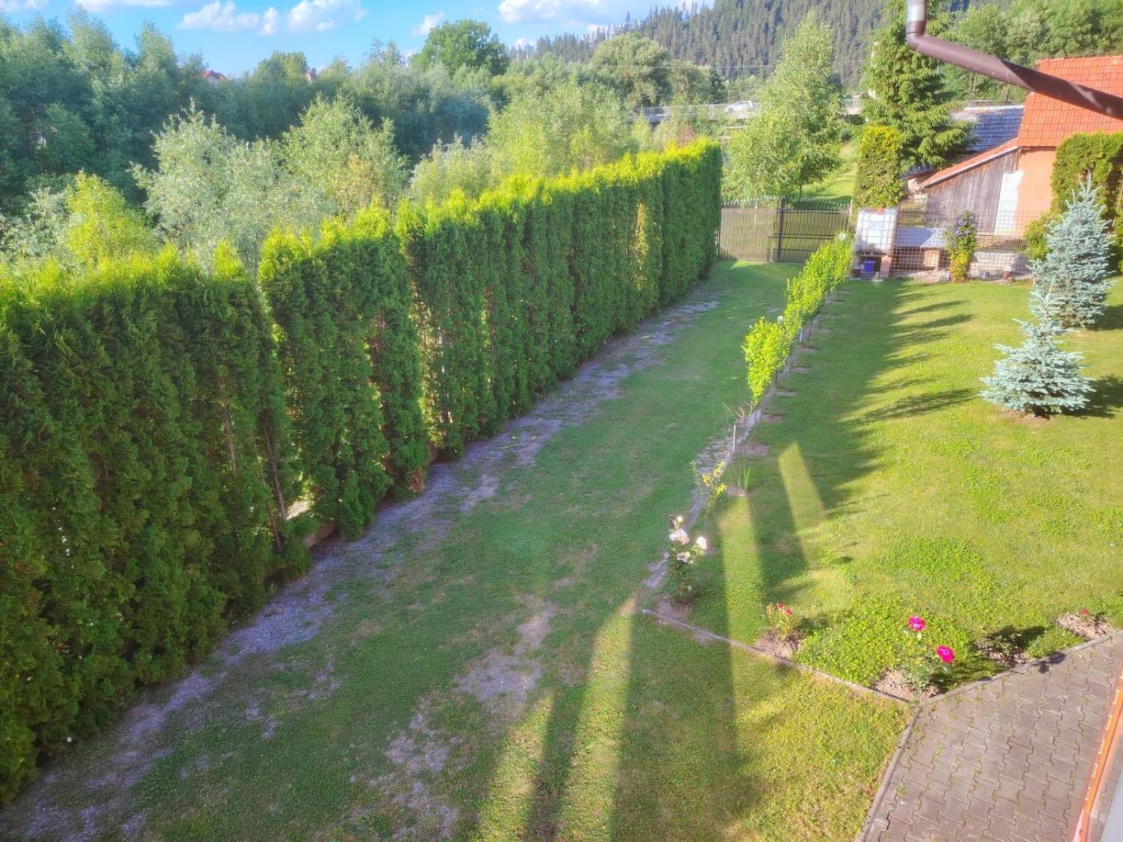 Pensiunea Floro Întorsura Buzăului エクステリア 写真